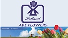 ABE Flowers