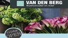 Van den Berg Bloemensfeer