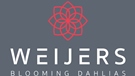 Weijers Blooming Dahlias